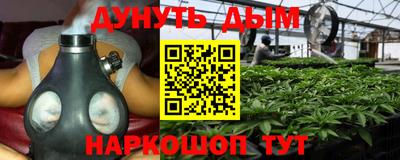 прущие крисы Краснодар